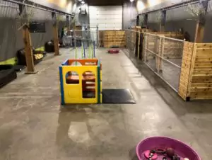 Steel house doggy daycare interior