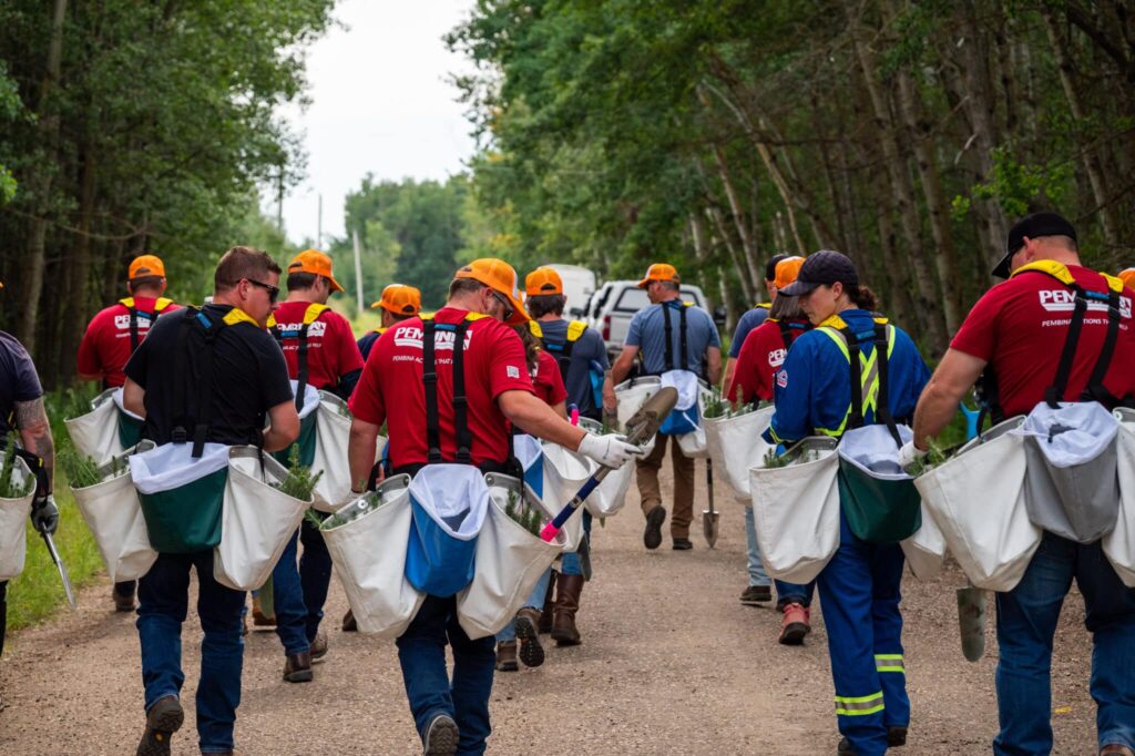 Group planting trees in forest area.