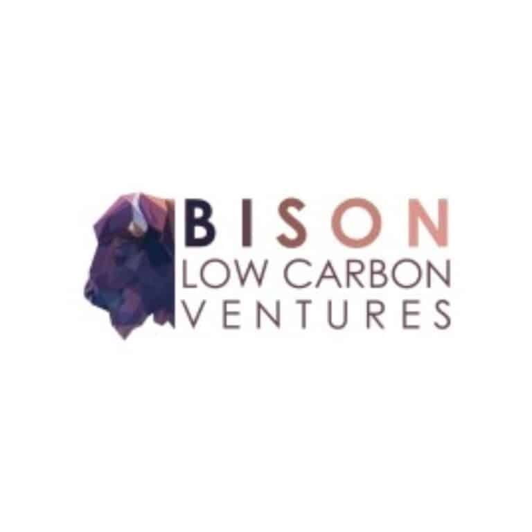 Data centre bison logo