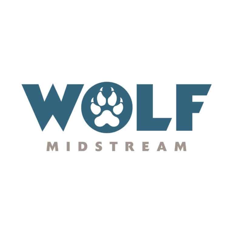 Data centre wolf logo